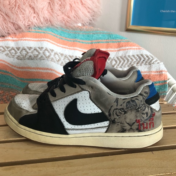 nike sb zoom team edition